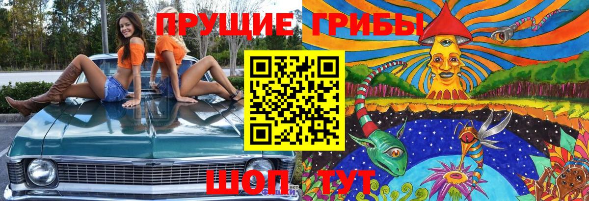 Галлюциногенные грибы мухоморы Коркино