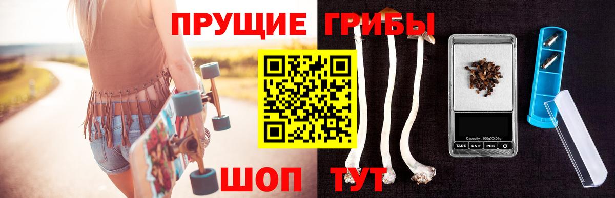 Псилоцибиновые грибы мицелий  Вход с VPN  продажа наркотиков  Коркино  Галлюциногенные грибы Magic Shrooms 